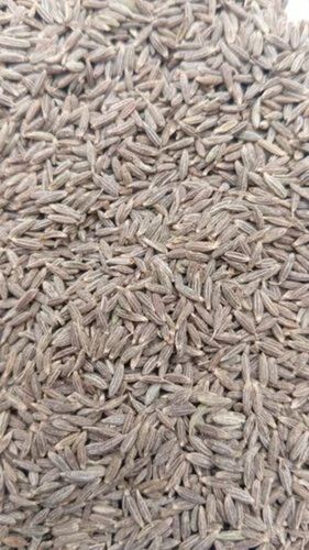 Bold Cumin Seed