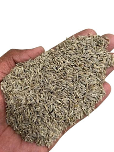 Bombay Bold Cumin Seed