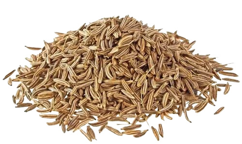 Brown Cumin Seed - Fresh, Natural Dried, 99% Pure | Very Good Quality, Food Grade, Whole Elongated Shape, Good for Health, 1 Year Shelf Life