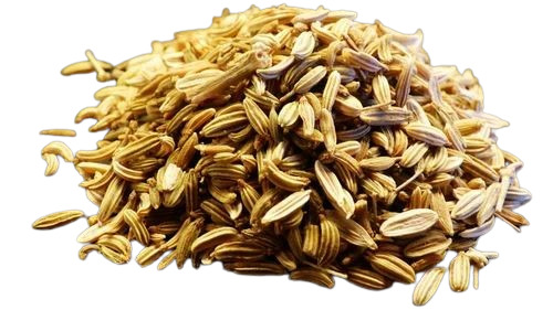 fennel seeds
