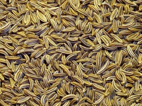 Dried Cumin Seeds - Fresh, 100% Pure | Very Good Quality, Naturally Dried, Health Beneficial
