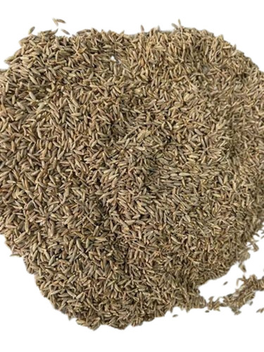 Europe Cumin Seeds