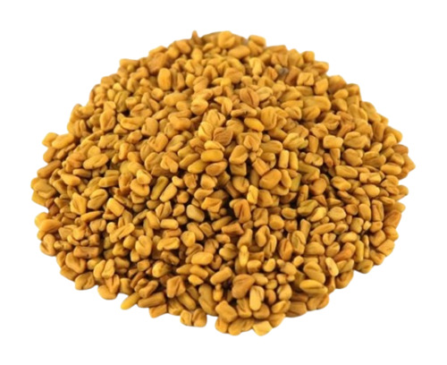 Fenugreek Seeds - Fresh 100% Pure Natural Dried | Very Good Quality Food Grade Good for Health Whole Granules