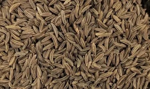 Fresh Cumin Seeds - Very Good Quality, 99% Purity, Natural Dried, Elongated Shape, Whole Physical Form, Food Grade, Brown Color, Good for Health, Stored in Cool & Dry Places, 1 Year Shelf Life