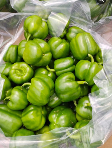 Green Capsicum - Shelf Life: 2 Week