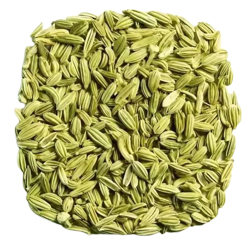 Green Fennel Seed - Fresh Very Good Quality 100% Pure | Natural Dried Food Grade Whole Form Elongated Shape Good for Health