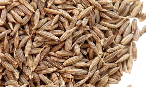 Gulf Quality Cumin Seed - 99% Purity, Whole Brown Elongated Seeds | Natural Drying Process, Food Grade, Good for Health
