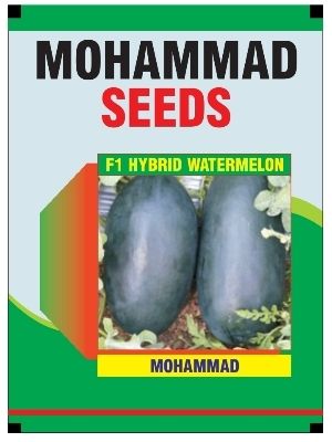 Hybrid Watermelon Seeds