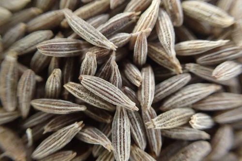 Organic Cumin Seeds - Fresh & Natural Dried, 100% Pure Quality for Health Benefits, Raw Elongated Brown Whole Dried Spice