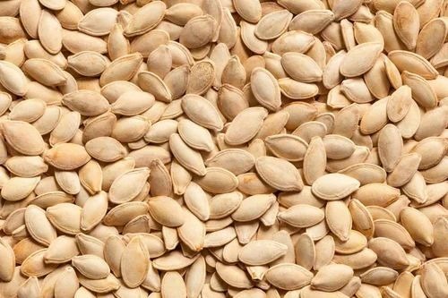 Organic Pumpkin Seeds By Pure Crop Sciences Private Limited