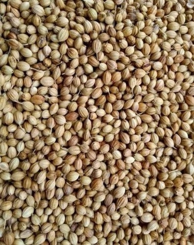 Pure Coriander Seed - Fresh Quality, Very Good for Health | 100% Natural Drying Process, Brown Color, Grade A Spices Seeds