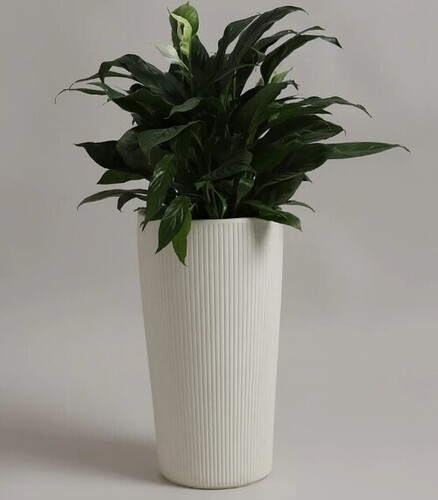 Frp Planter - 8 Inch Diameter, 16 Inch Height, Plain White Finish | Ideal for Plant Display