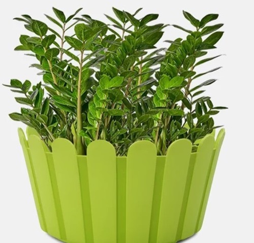 Green Round Planter