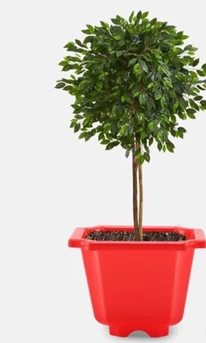 Vertical Garden Planter Box