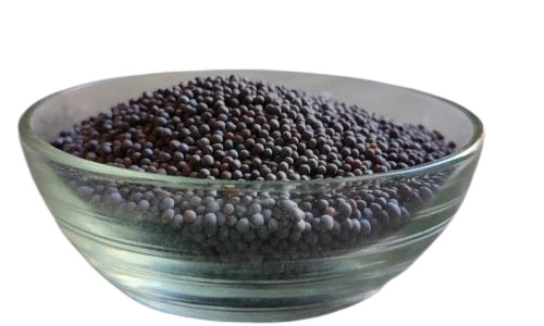 Black Mustard Seeds - Fresh, Very Good Quality, 100% Purity, Natural Drying Process, Good for Health, Grade A, Moisture 0.8%