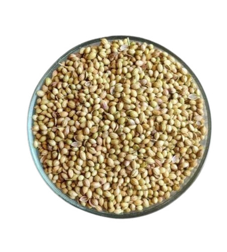 Coriander Seed