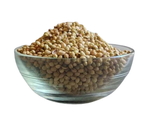 coriander seed
