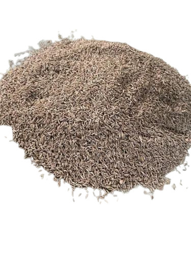 organic cumin seeds