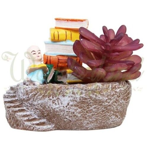 Monk Books Succulent Planter