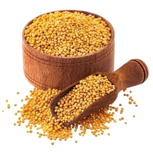 Natural Yellow Mustard Seeds