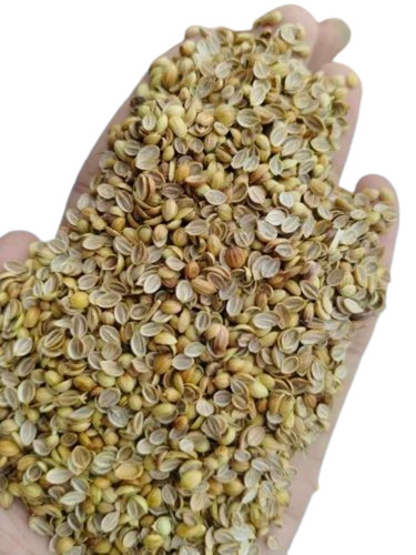 Split Coriander Seed - Fresh Quality, 100% Pure, Natural Dried | Good for Health, Brown Granule, Raw Dried, Grade A, Cool & Dry Storage, 1 Year Shelf Life