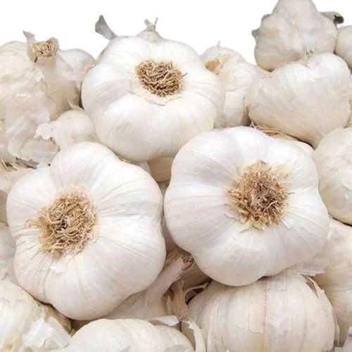White Garlic