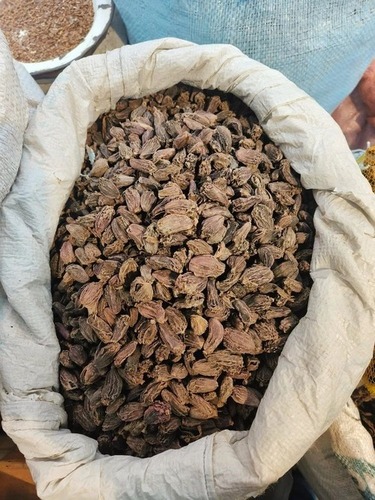 Large Black Cardamom - 10 Kg Jute Bag, Grade A Dried Variety with 9 Months Shelf Life