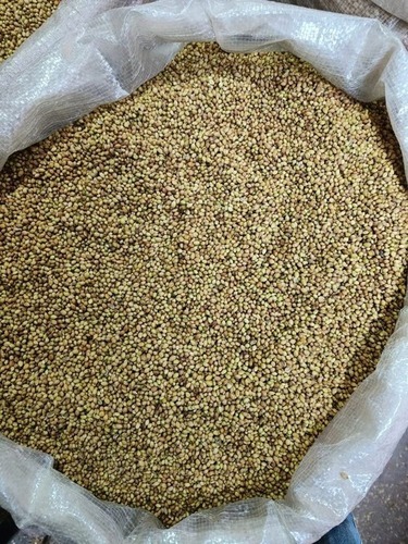 Teja Chilli - With Stem, 25 Kg PP Bag, FSSAI Certified, Grade A Dried Product