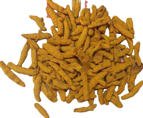 Dried Turmeric Finger Tukdi - Fresh Quality, Natural Dried, 100% Purity, Yellow Color, Food Grade, Stored in Cool & Dry Places, Raw Processing