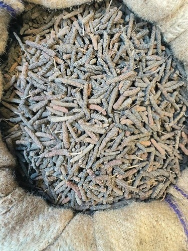 Long Pepper Pippali - Dried Fruit in 50kg Gunny Bag | FSSAI Certified, Grade A, 9 Months Shelf Life, Room Temperature Storage