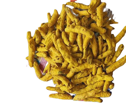 Salem Turmeric Finger - Fresh, Very Good Quality, 100% Pure | Natural Dried, Food Grade, Healthy Elongated Whole, Natural Yellow Taste