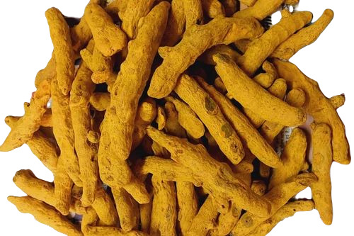 Yellow Dry Turmeric - Whole Natural Dried Spice, 100% Pure Food Grade Quality, Good for Health with Elongated Shape and Long Shelf Life
