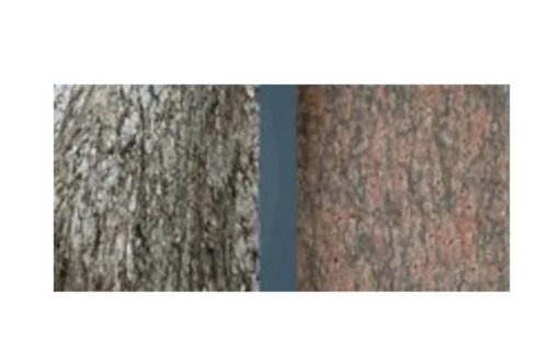 Indian Granite Slabs - Polished, Rectangular Shape | Superior Quality, Higher Strength, Long Life Durability, Easy to Use, Slip and Water Resistant