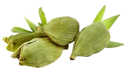 Green Cardamom 5mm