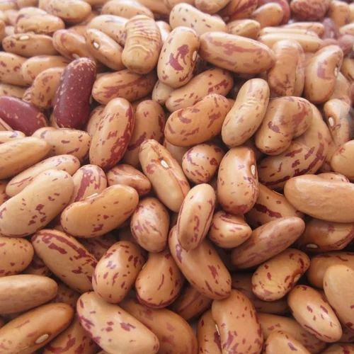 Kidney Beans