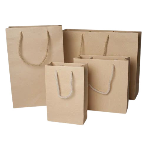 Paper Shopping Bags - Light Weight, Attractive Design | Brown Kraft Paper, Rope Handle, Customized Patterns, Moisture Proof