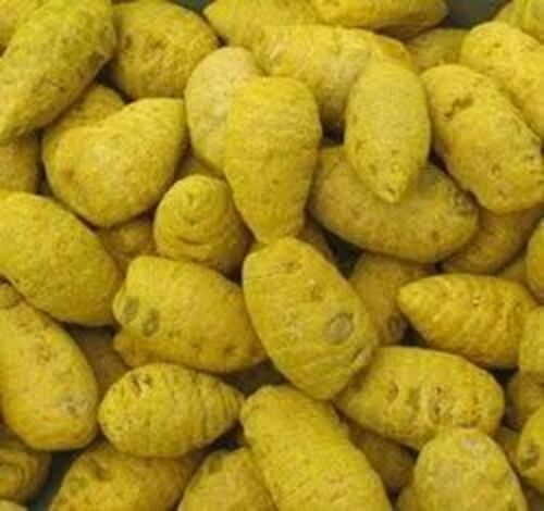 Turmeric Bulb - Fresh Natural Dried Whole 100% Pure Food Grade Good for Health Yellow Color Cool & Dry Storage