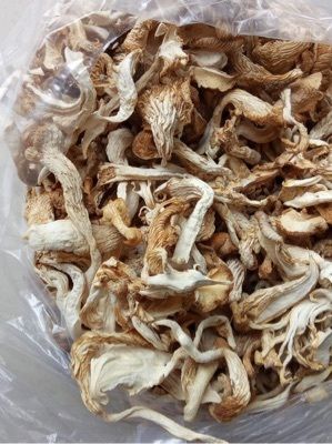 Dried Oyster Mushroom - Color: Milky Brown