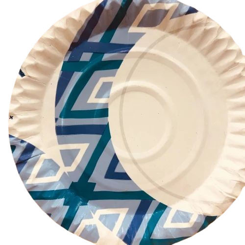 Printed Paper Plate