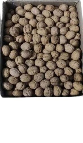 Whole Walnut - Premium Quality, Optimum Nutrient-Dense Snack | Crunchy Texture, Rich Flavor, Omega-3 Rich, Heart-Healthy, Long Shelf Life