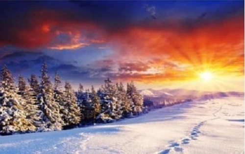 3D Wallpaper - PVC Material, Various Sizes Available | Waterproof, Easy to Install, Long Lasting Finish, Quality Tested