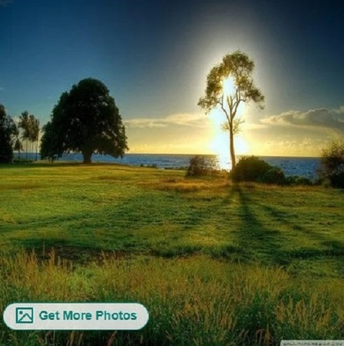 Non Woven Nature Wallpaper - Non Woven Material, Various Sizes Available | Waterproof, Long Lasting Finish, Easy to Install, Enhances Wall Appearance