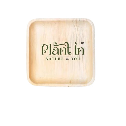  10 Inch Square Areca Leaf Plate