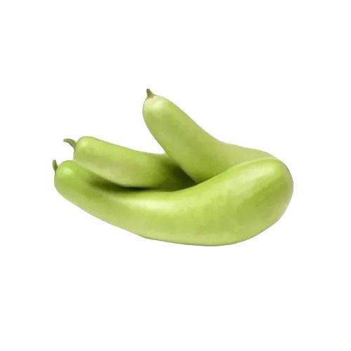 Bottle Gourd - Organic Straight Fresh Vegetable | Raw Processing Form, Ideal for Cooking