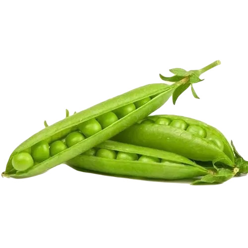 Fresh Green Peas - Organic Vegetable, Round Shape , Raw Form with 3 Days Shelf Life