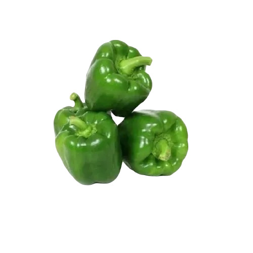 Green Capsicum - Organic Fresh Vegetable for Cooking | Round Shape, Raw Processing