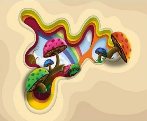 Kids Room Wallpaper - PVC Material, Various Sizes Available | Easy to Install, Long Lasting Finish, Waterproof Design