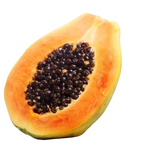 Papaya - Whole, Organic Cultivation | Fresh Sweet Taste, Round Shape, Green Color