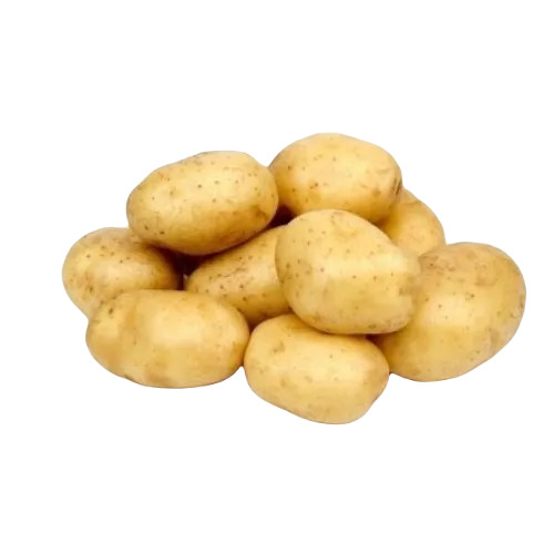 Potato - Organic Fresh Vegetable, Round Shape for Cooking, Raw Processing Form