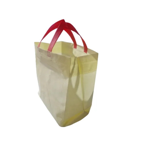 Loop Handle Non Woven Box Carry Bags